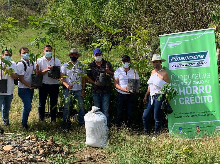 Actividad del programa de reforestación, fotografía 1