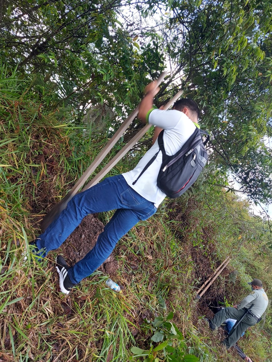 Actividad del programa de reforestación, fotografía 2