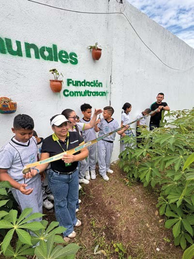 Actividad del programa de reforestación, fotografía 4