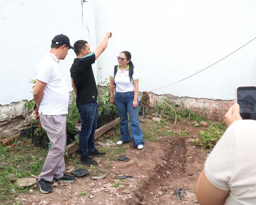 Actividad del programa de reforestación, fotografía 6