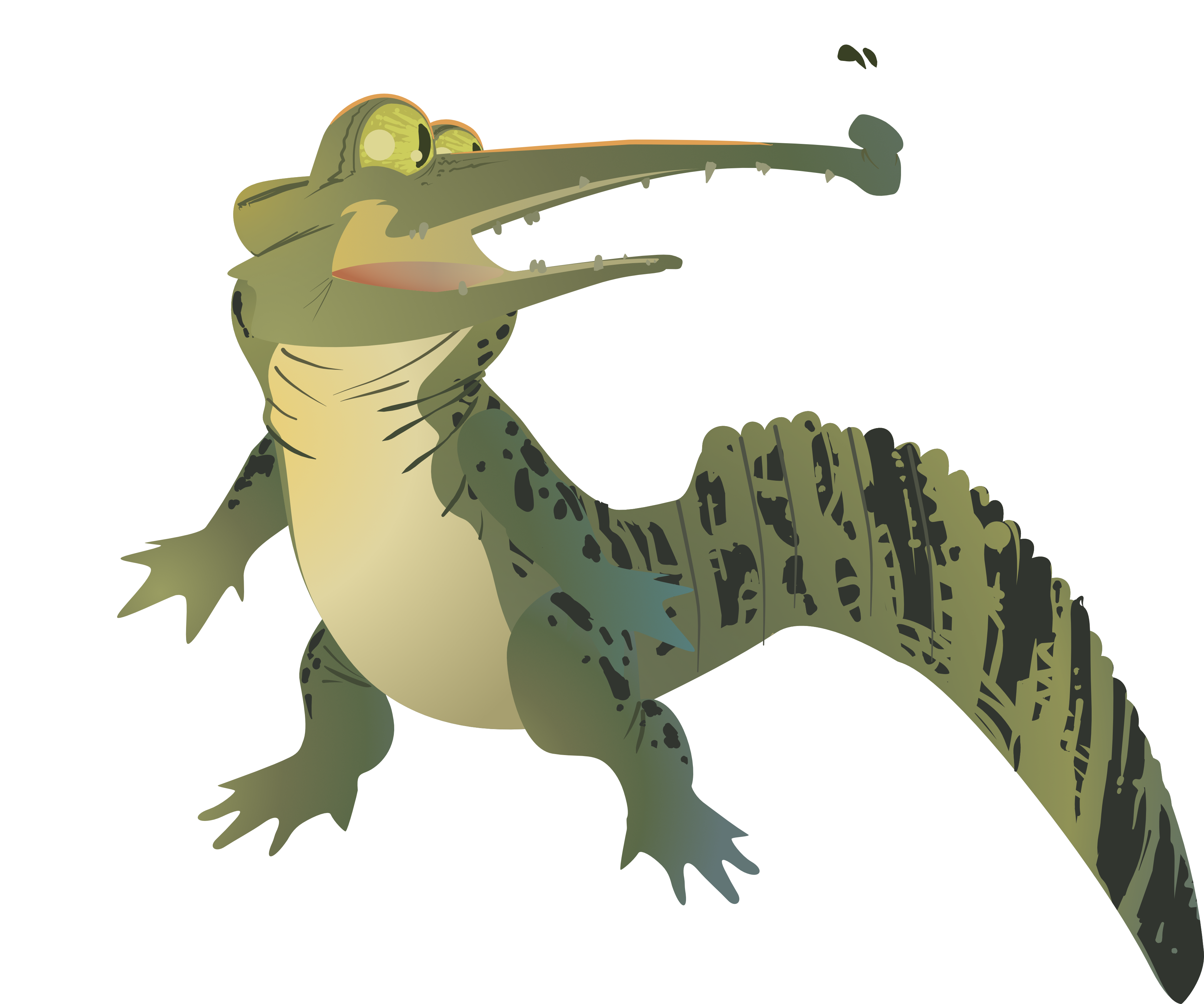 Caimán ilustrado