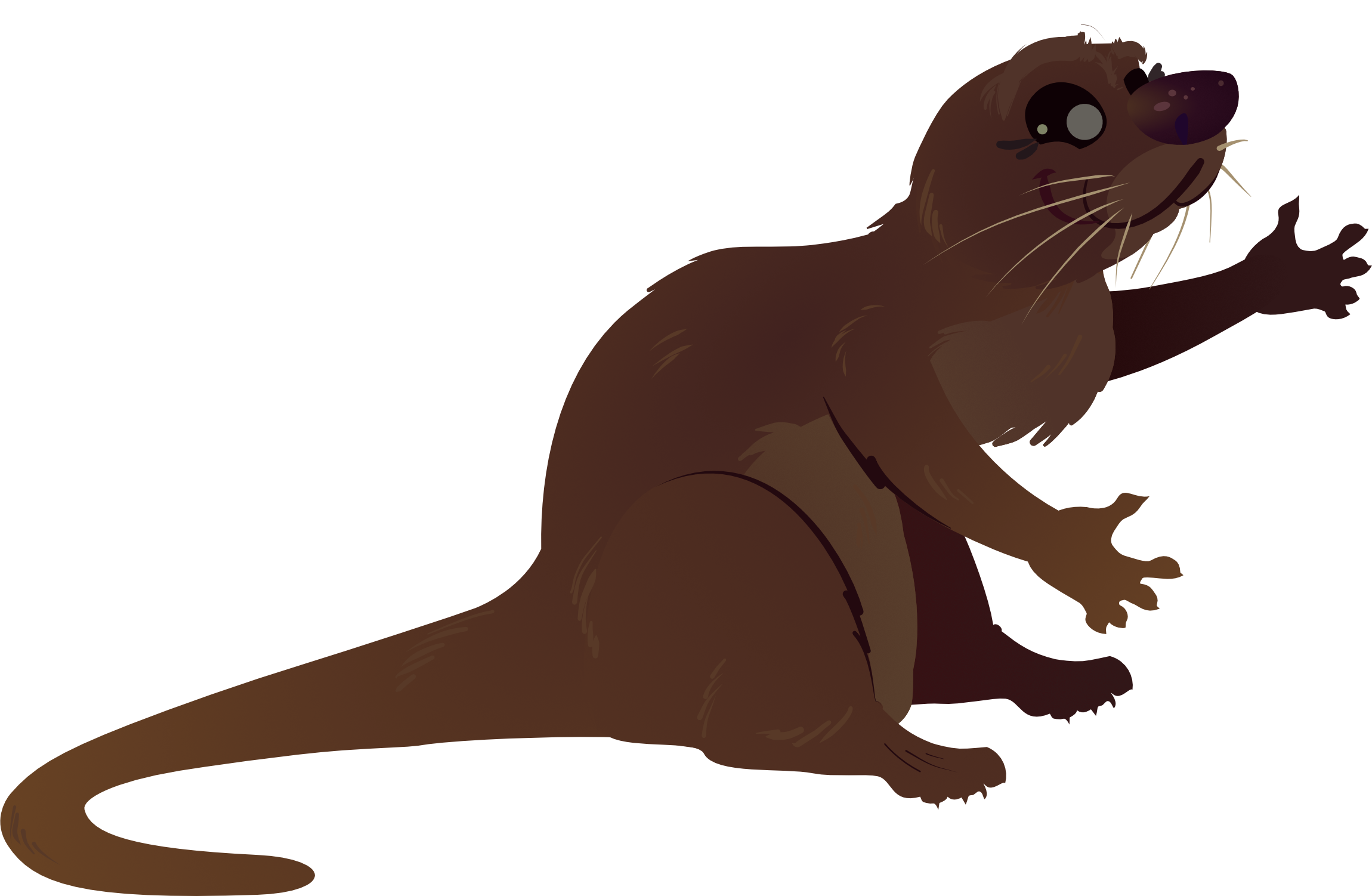 Nutria ilustrada