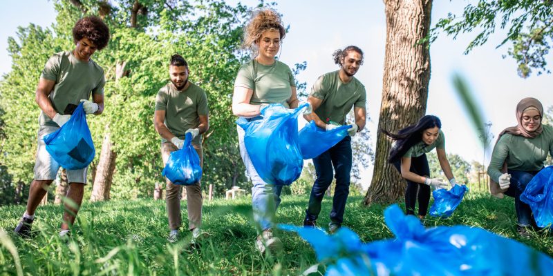 Cuidado del medio ambiente